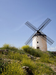 Plakat Ancient windmill in the hill Calderico in Consuegra, route of Don Quixote. Province of Toledo, Castilla La Mancha, Spain, Europe