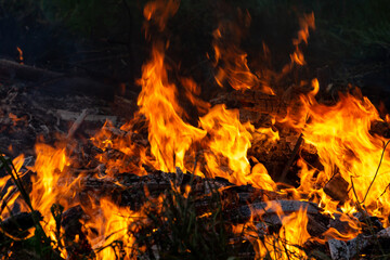 Burning down fire. Last embers and ashes