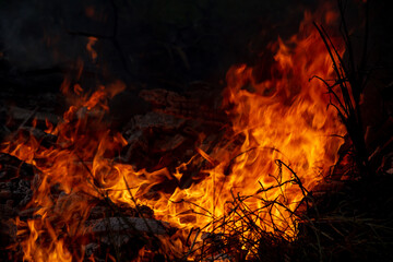 Burning down fire. Last embers and ashes