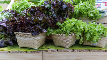 straw basket with fresh green vegetable in farm