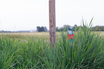 destiny, peace, tranquility