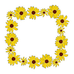 Fototapeta premium Border of open heliopsis blossom vector color illustration isolated on white background. Vector sketch style top view hand drawing of wild, heliopsis, false sunflower.