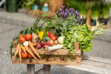 Frisches geerntetes Bio Gemüse in der Holzkiste in der Sonne