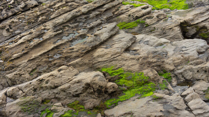 Rocas en la baja mar