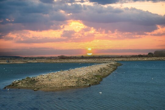 Oyster Beds, Hayling Island