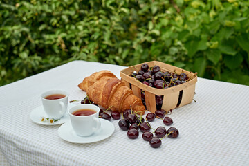 Black tea with fresh croissants and cherries on the table against white background. Flat lay, spring breakfast conceptual composition