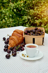 Black tea with fresh croissants and cherries on the table against white background. Flat lay, spring breakfast conceptual composition