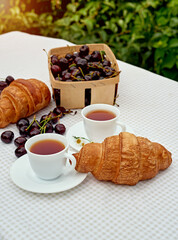 Black tea with fresh croissants and cherries on the table against white background. Flat lay, spring breakfast conceptual composition