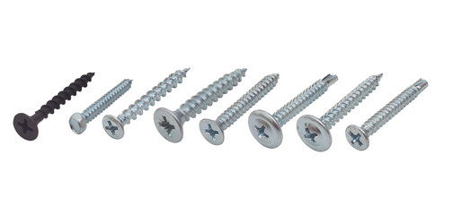 Self-tapping screws of various types isolated - obrazy, fototapety, plakaty