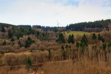 Blick in die Eifel