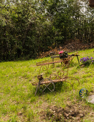 garden with old cart with pots and flowers