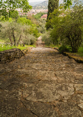 path of old stone steps with depth in a botanical garden in Florence, Italy 