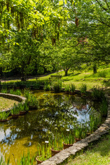 pond at the iris garden in Florence, Italy surrounded by trees 