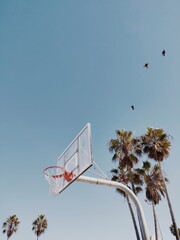 Basketball hoop on Venice Beach, California