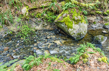 Upper Des Moines Creek Detail 7
