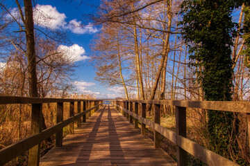 Bohlensteg Blankensee bei Trebbin - Herbst - Brandenburg - Germany - See - Park - Steg - Jetty - Nature - Landschaft