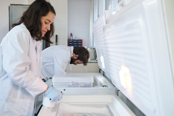 Two young researchers storing experimental samples in the laboratory freezer. - Powered by Adobe