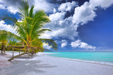 Tropical island beach 