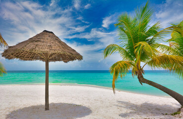 Tropical island beach 
