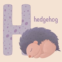 Alphabet For Kids. The hedgehog is sleeping. Zoo alphabet. A-Z Animal alphabet. Funny cartoon animal isolated on beige background. Kids education poster. For children learning English vocabulary © Olena M