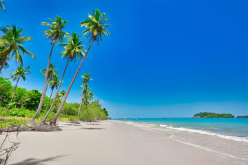Tropical island beach 