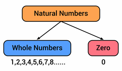 natural numbers and whole numbers line
