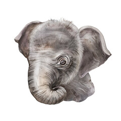 Elephant watercolor image, naturalistic image of an elephant, elephant head, African animal wall art