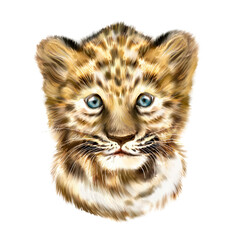 Leopard Watercolor painting, naturalistic depiction of a small leopard, leopard head, African animal, watercolor animal wall art