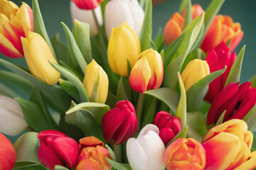 Close-up of a bouquet of tulips