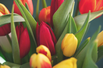 Close-up of a bouquet of tulips