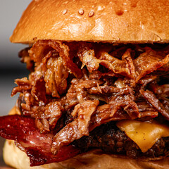 Hamburguesa con carne desmechada