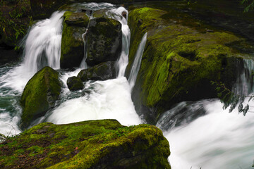 Whatcom Falls - Bellingham Washington