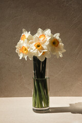 Daffodils in a glass vase on a light beige background. Front view