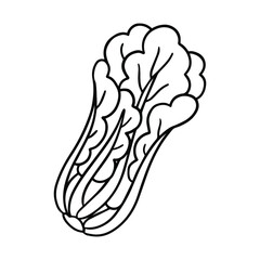 Vector black and white illustration of doodle greenery: lettuce