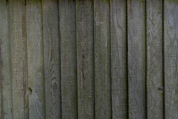 Fototapeta premium old wood texture, background