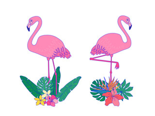 Two flamingos with flowers and leaves. Vector illustration of exotic birds.