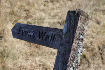 old wooden sign post