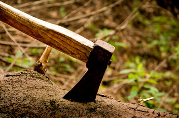 axe in a log