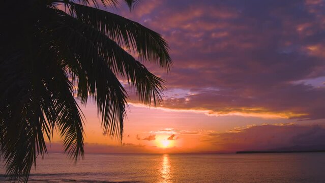 Sea palm beach against the backdrop of an orange sunset. Evening landscape of the sunset sky with pink clouds in the tropics. Twilight over a tropical peninsula. Picturesque sunset of the sea.