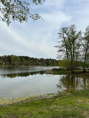 Fototapeta na wymiar forest lake against the backdrop of spring forest