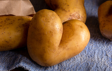 Heart shaped ugly potato on blue sackcloth