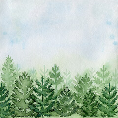 Coniferous forest and sky. Nature background. Watercolor illustration.