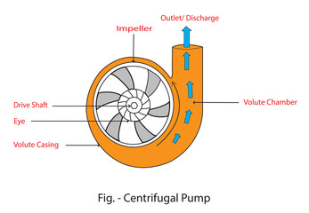 centrifugal pump motor