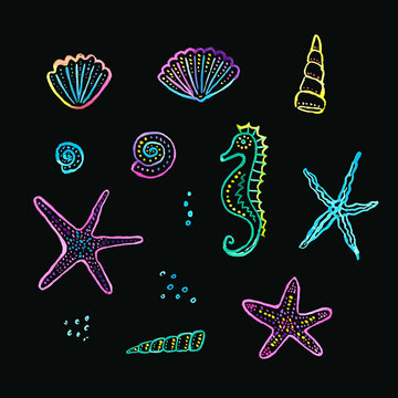 Sea set with sea shells, sea horse, starfish on black background, hand made illustration