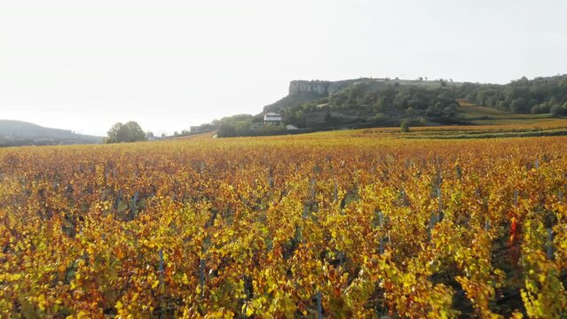 The vineyards of Solutré-Pouilly, Burgundy, France in autumn with Rock of Solutré on the background. Aerial view.
