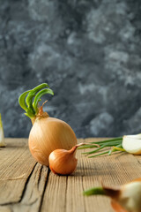 sprouted cibula. onions on a wooden table. golden onion