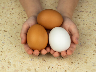 Beautiful chicken eggs in children's hands. Close-up. Copy space.