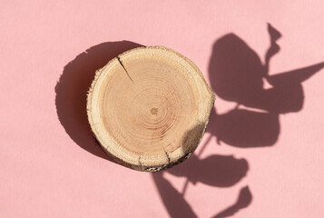 Woodcut lying on a trendy pink background with shadows of fern. A wooden platform with shades for natural cosmetics or products presentation. Wooden tray mockup in the sunlight. Top view
