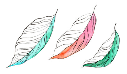 Set of watercolor leaves. Tropics. Bright illustration in line art style