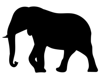 elephant silhouette, on white background, isolated, vector